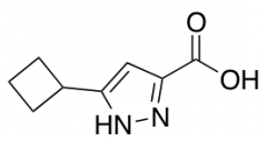 5-Cyclobutyl-1H-pyrazole-3-carboxylic acid