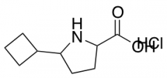5-cyclobutylpyrrolidine-2-carboxylic Acid hydrochloride