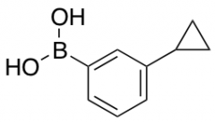 (3-Cyclopropylphenyl)boronic Acid