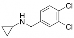 Cyclopropyl-(3,4-dichloro-benzyl)-amine