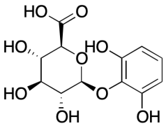 2,6-Dihydroxyphenyl &beta;-D-glucopyranosiduronic Acid