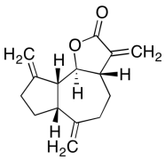 Dehydrocostus Lactone