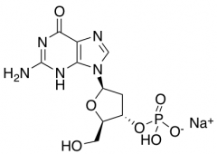 2'-Deoxyguanosine 3'-monophosphate Sodium Salt