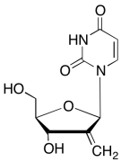 2'-Deoxy-2'-methyleneuridine