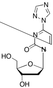 1-(&beta;-D-2-Deoxyribofuranosyl)-4-(1,2,4-triazol-1-yl)pyrimidin-2-one