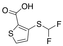 3-[(difluoromethyl)sulfanyl]thiophene-2-carboxylic acid