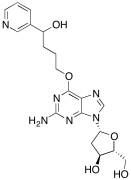 2'-Deoxy-6-O-[4-hydroxy-4-(3-pyridinyl)butyl]guanosine