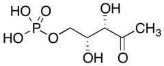 1-Deoxy-D-xylulose 5-Phosphate