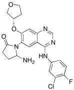 Des-(4-dimethylamino-2-en-1-oxo)butylamino 6-(5-Amino-pyrrolidin-2-on-1-yl) Afatinib