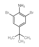 2,6-Dibromo-4-tert-butylaniline