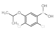 2,4-Dichloro-5-isopropoxyphenylboronic acid