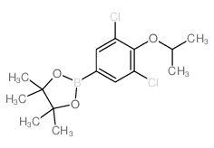 3,5-Dichloro-4-isopropoxyphenylboronic acid, pinacol ester