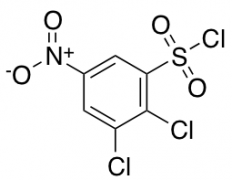 2,3-dichloro-5-nitrobenzene-1-sulfonyl chloride