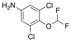 3,5-Dichloro-4-(difluoromethoxy)aniline
