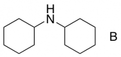 Dicyclohexylamine Borane