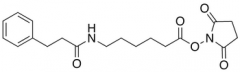 N-Dihydrocinnamoylaminocaproic Acid N-Hydroxysuccinimide Ester