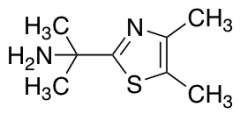 2-(Dimethyl-1,3-thiazol-2-yl)propan-2-amine