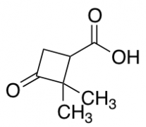 2,2-Dimethyl-3-oxocyclobutanecarboxylic Acid