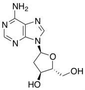 2'-Deoxy-a-adenosine
