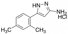 5-(2,4-Dimethylphenyl)-1H-pyrazol-3-ylamine Hydrochloride
