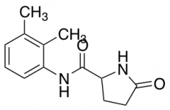 N-(2,3-Dimethylphenyl)-5-oxoprolinamide