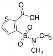 3-(Dimethylsulfamoyl)thiophene-2-carboxylic Acid
