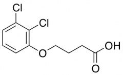 4-(2,3-Dichlorophenoxy)butanoic Acid