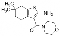 6,6-dimethyl-3-(morpholine-4-carbonyl)-4,5,6,7-tetrahydro-1-benzothiophen-2-amine
