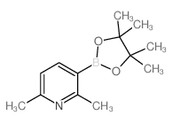 2,6-Dimethylpyridine-3-boronic acid pinacol ester