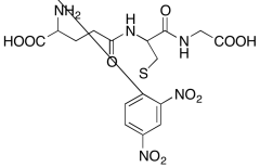 S-(2,4-Dinitrophenyl)-Glutathione