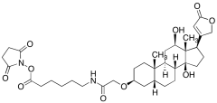 (3&beta;,5&beta;,12&beta;)-3-[2-[[6-[(2,5-Dioxo-1-pyrrolidinyl)oxy]-6-oxohexyl