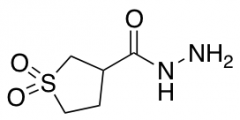 1,1-dioxo-1lambda6-thiolane-3-carbohydrazide