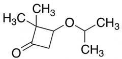 2,2-dimethyl-3-(propan-2-yloxy)cyclobutan-1-one