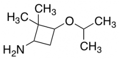 2,2-dimethyl-3-(propan-2-yloxy)cyclobutan-1-amine