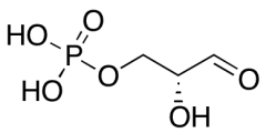 D-Glyceraldehyde 3-Phosphate, (10mg/mL solution in water)