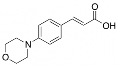 (2E)-3-(4-Morpholin-4-ylphenyl)acrylic Acid