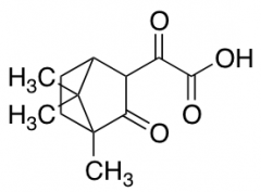 2-Oxo-2-{4,7,7-trimethyl-3-oxobicyclo[2.2.1]heptan-2-yl}acetic Acid
