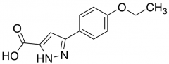 5-(4-Ethoxyphenyl)-1H-pyrazole-3-carboxylic Acid