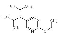 2-Ethoxy-5-(N,N-diisopropyl)aminopyridine