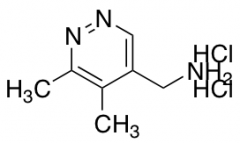 (5,6-dimethylpyridazin-4-yl)methanamine dihydrochloride
