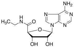 5&rsquo;-Ethylcarboxamido Adenosine