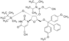 5-Ethynyl Uridine CEP