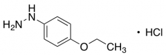 (4-Ethoxyphenyl)hydrazine hydrochloride