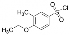 4-Ethoxy-3-methylbenzenesulfonyl Chloride