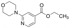 Ethyl 2-Morpholinoisonicotinate