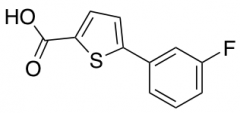5-(3-fluorophenyl)thiophene-2-carboxylic Acid