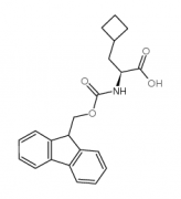 Fmoc-ala(beta-cyclobutyl)-oh