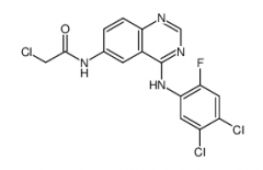 EGFR Inhibitor III