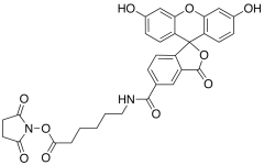 6-(Fluorescein-5-carboxamido)hexanoic Acid Succinimidyl Ester (>90%)