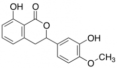 8-Hydroxy-3-(3-hydroxy-4-methoxyphenyl)-3,4-dihydroisochromen-1-one